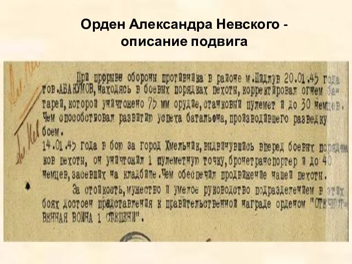 Орден Александра Невского - описание подвига