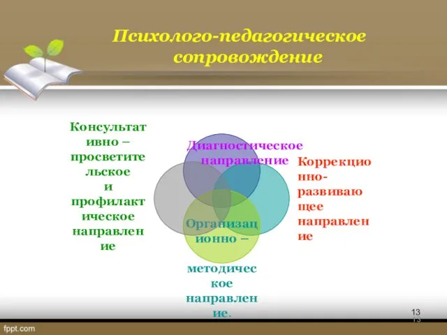 Психолого-педагогическое сопровождение Диагностическое направление