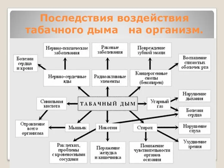 Последствия воздействия табачного дыма на организм.