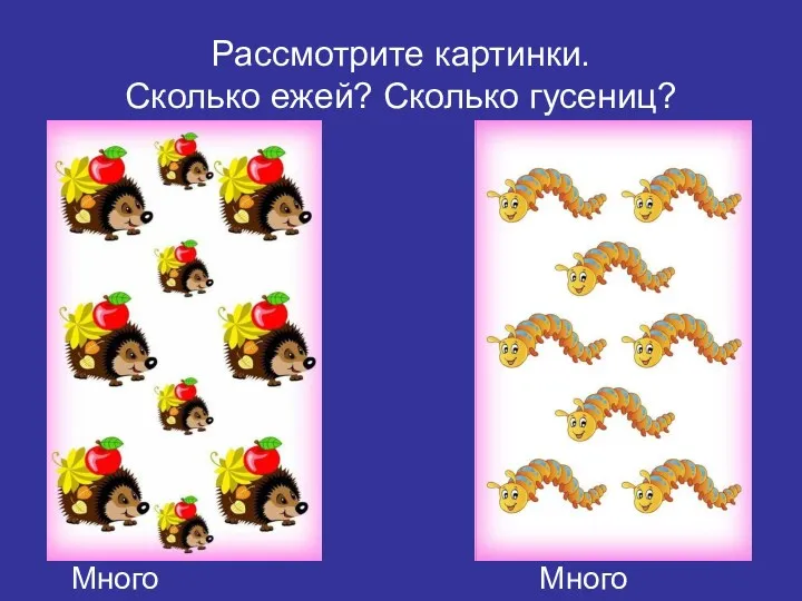 Рассмотрите картинки. Сколько ежей? Сколько гусениц? Много Много