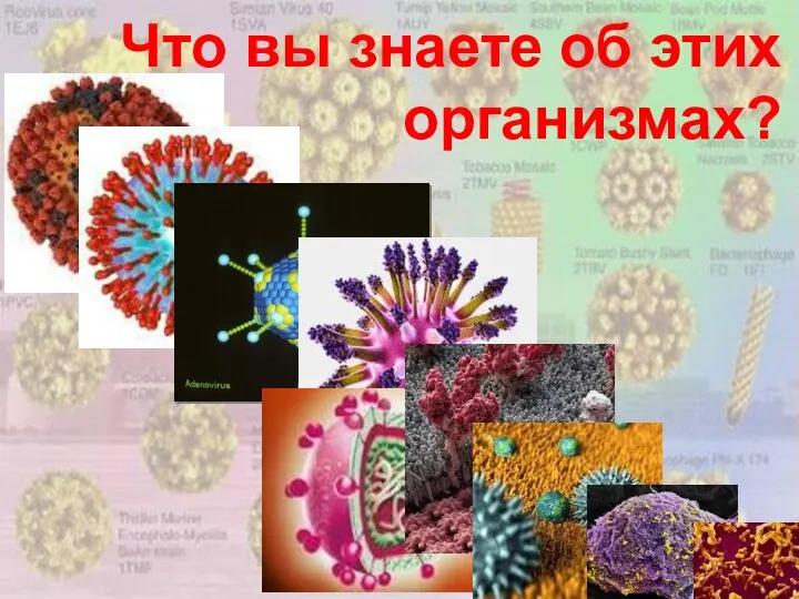 Что вы знаете об этих организмах?