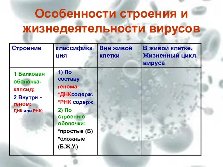 Особенности строения и жизнедеятельности вирусов 1 Белковая оболочка- капсид; 2 Внутри - геном: