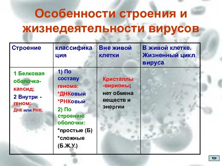 Особенности строения и жизнедеятельности вирусов 1 Белковая оболочка- капсид; 2