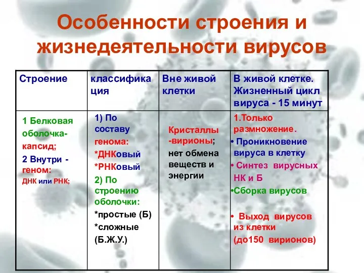 Особенности строения и жизнедеятельности вирусов 1 Белковая оболочка- капсид; 2