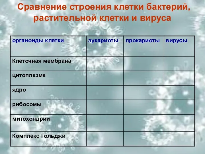 Сравнение строения клетки бактерий, растительной клетки и вируса