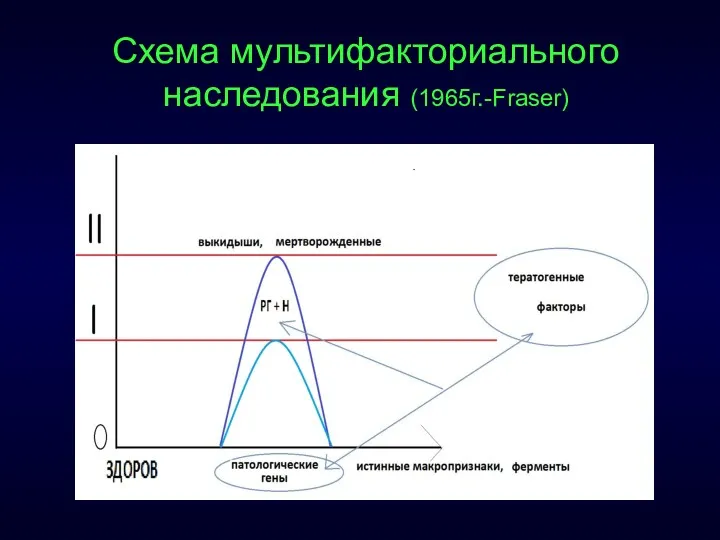 Схема мультифакториального наследования (1965г.-Fraser)