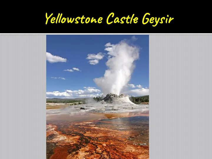 Yellowstone Castle Geysir