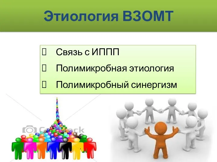 Этиология ВЗОМТ Связь с ИППП Полимикробная этиология Полимикробный синергизм