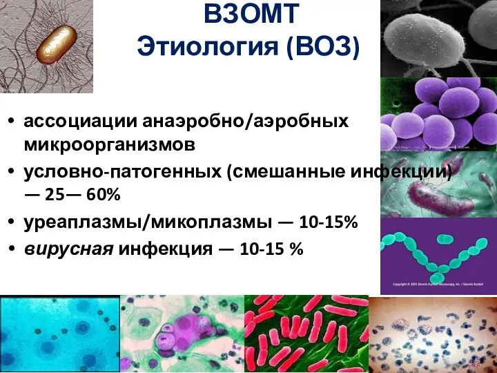 ВЗОМТ Этиология (ВОЗ) ассоциации анаэробно/аэробных микроорганизмов условно-патогенных (смешанные инфекции) —