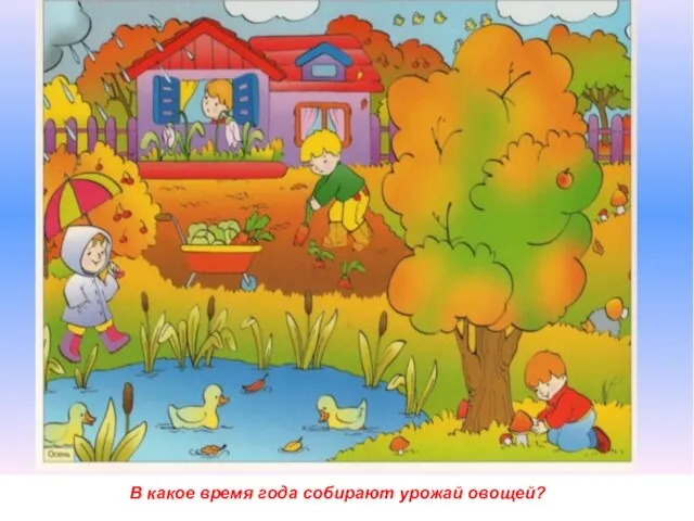 В какое время года собирают урожай овощей?