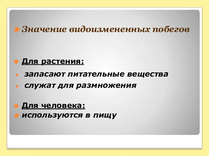 Значение видоизмененных побегов Для растения: запасают питательные вещества служат для размножения Для человека: используются в пищу