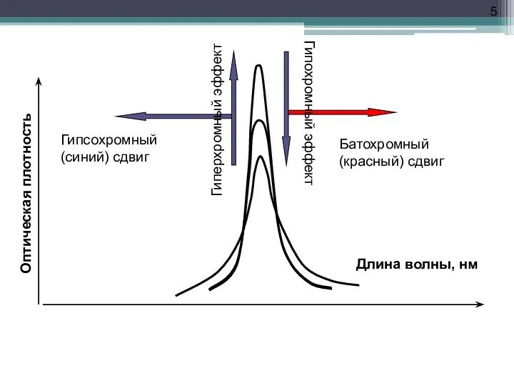 Гипсохромный (синий) сдвиг Батохромный (красный) сдвиг Гиперхромный эффект Гипохромный эффект Длина волны, нм Оптическая плотность