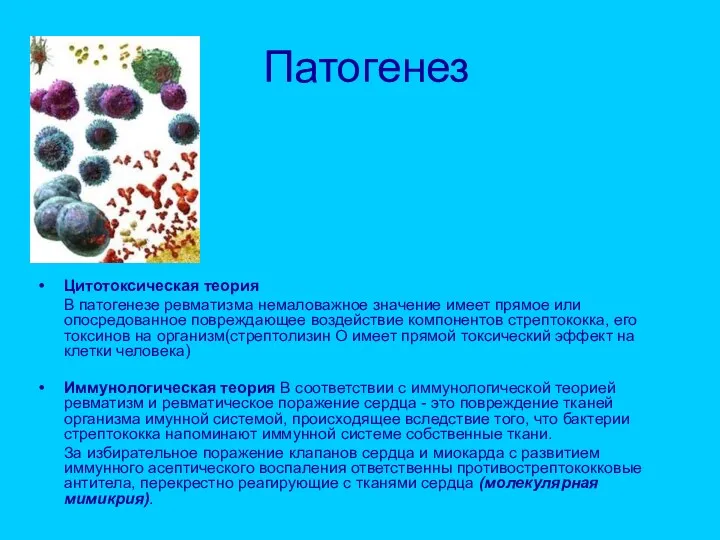 Патогенез Цитотоксическая теория В патогенезе ревматизма немаловажное значение имеет прямое