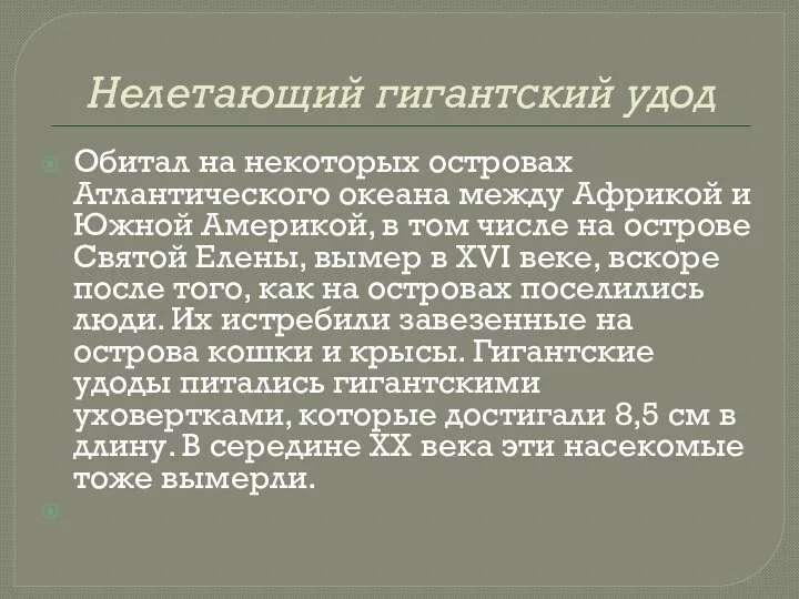 Нелетающий гигантский удод Обитал на некоторых островах Атлантического океана между