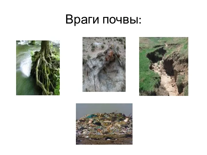 Враги почвы: