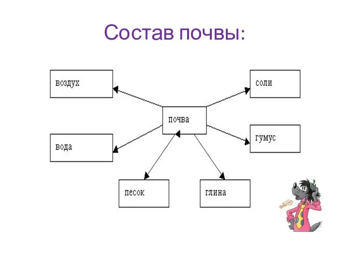 Состав почвы: