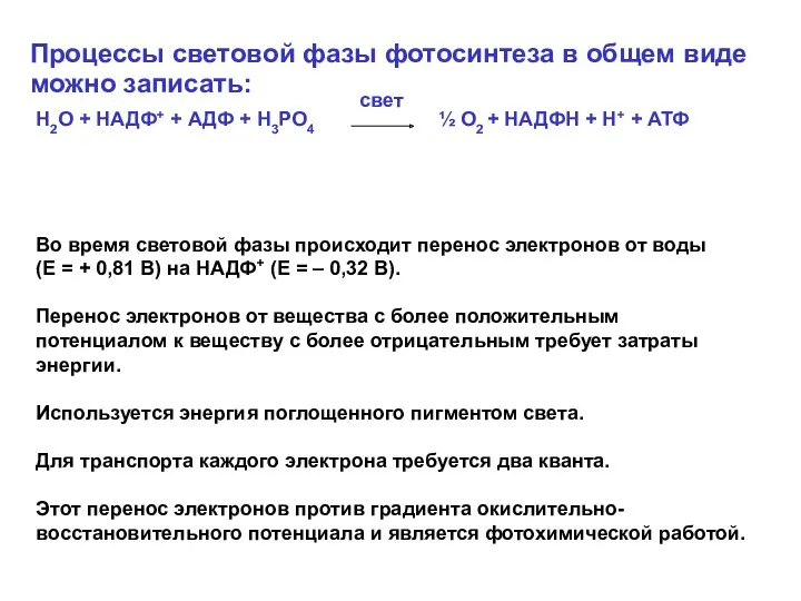 Процессы световой фазы фотосинтеза в общем виде можно записать: Во