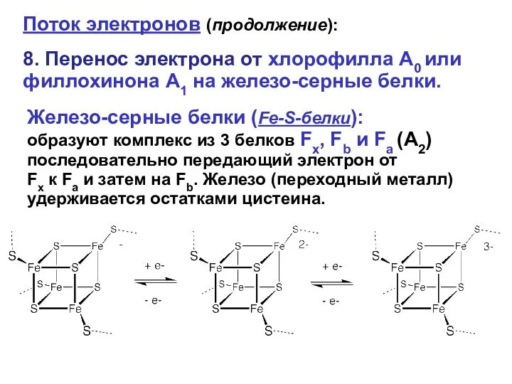 Поток электронов (продолжение): 8. Перенос электрона от хлорофилла А0 или