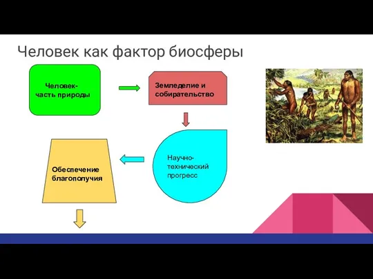 Человек как фактор биосферы Человек- часть природы Земледелие и собирательство Научно- технический прогресс Обеспечение благополучия