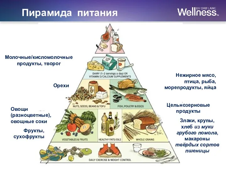 Пирамида питания Нежирное мясо, птица, рыба, морепродукты, яйца Фрукты, сухофрукты