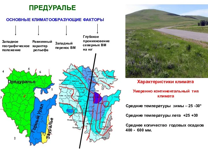 ПРЕДУРАЛЬЕ ОСНОВНЫЕ КЛИМАТООБРАЗУЮЩИЕ ФАКТОРЫ Западное географическое положение Равнинный характер рельефа