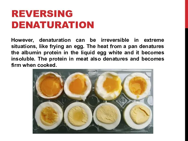 REVERSING DENATURATION However, denaturation can be irreversible in extreme situations, like frying an