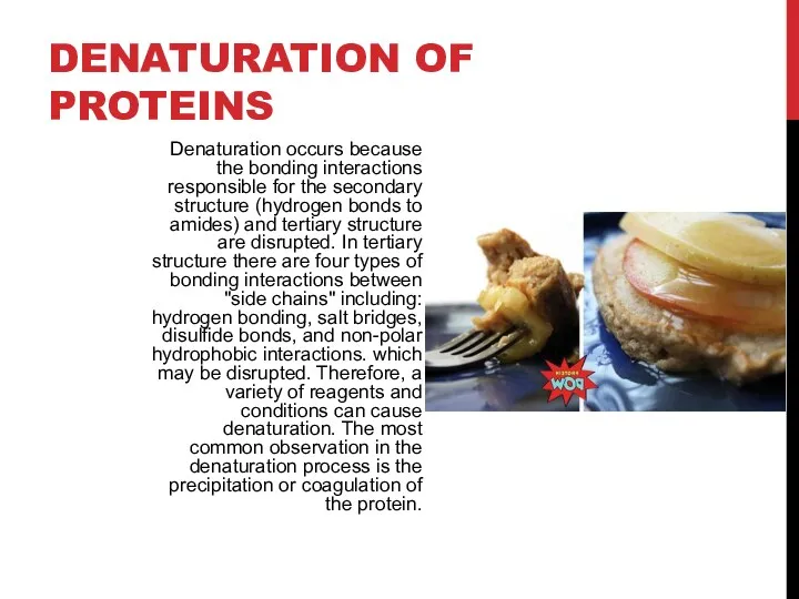 DENATURATION OF PROTEINS Denaturation occurs because the bonding interactions responsible for the secondary