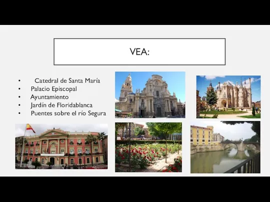 VEA: Catedral de Santa María Palacio Episcopal Ayuntamiento Jardín de Floridablanca Puentes sobre el río Segura