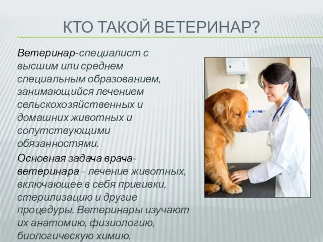 КТО ТАКОЙ ВЕТЕРИНАР? Ветеринар-специалист с высшим или среднем специальным образованием,