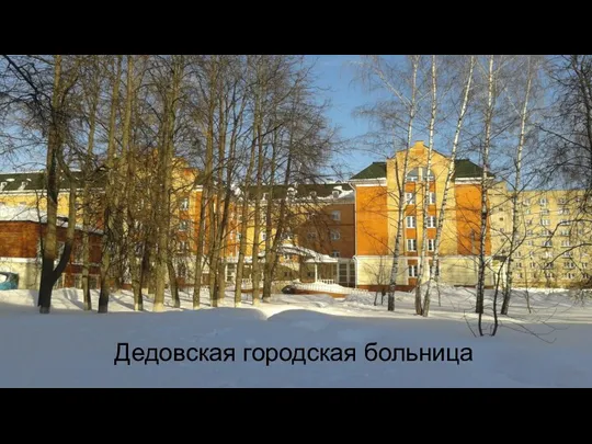 Дедовская городская больница