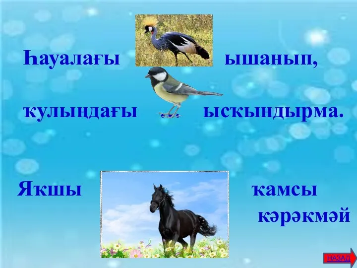 Һауалағы … ышанып, ҡулыңдағы … ысҡындырма. Яҡшы … ҡамсы кәрәкмәй НАЗАД