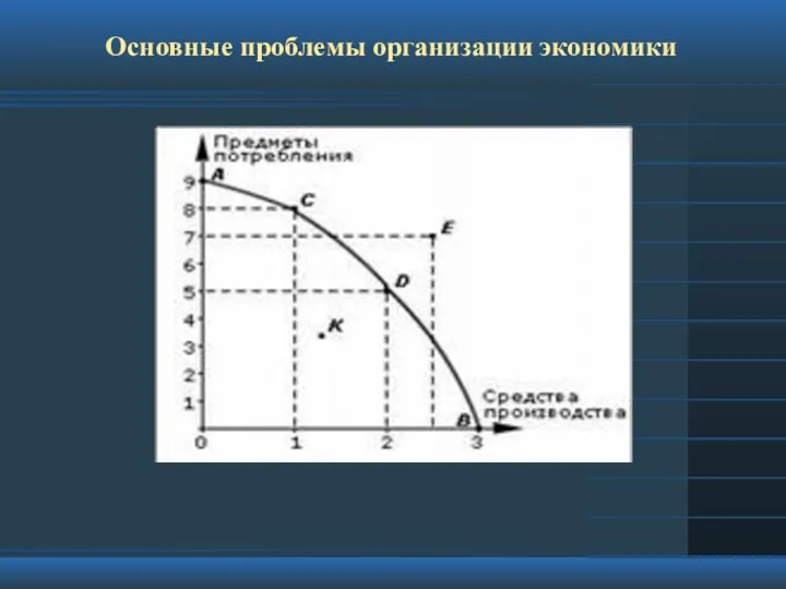 Основные проблемы организации экономики