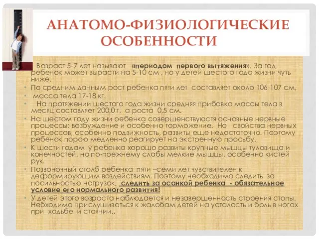 АНАТОМО-ФИЗИОЛОГИЧЕСКИЕ ОСОБЕННОСТИ Возраст 5-7 лет называют «периодом первого вытяжения». За