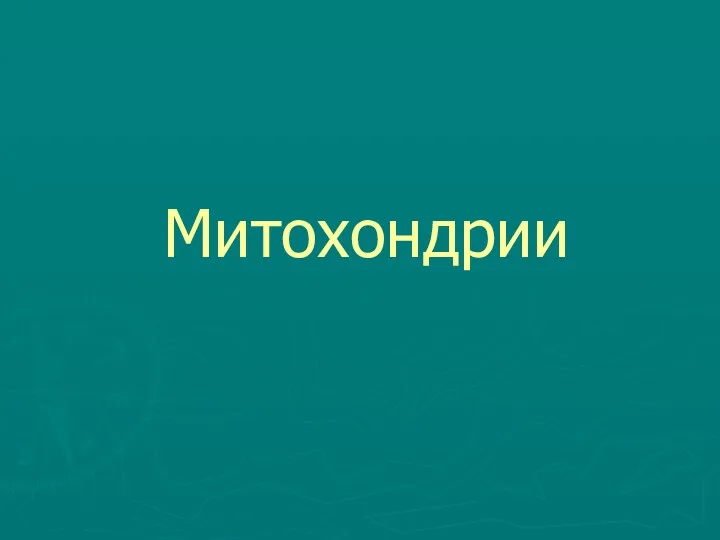 Митохондрии