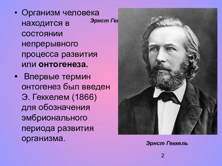 Эрнст Геккель Организм человека находится в состоянии непрерывного процесса развития