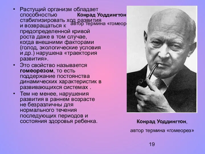 Конрад Уоддингтон, автор термина «гомеорез» Растущий организм обладает способностью стабилизировать