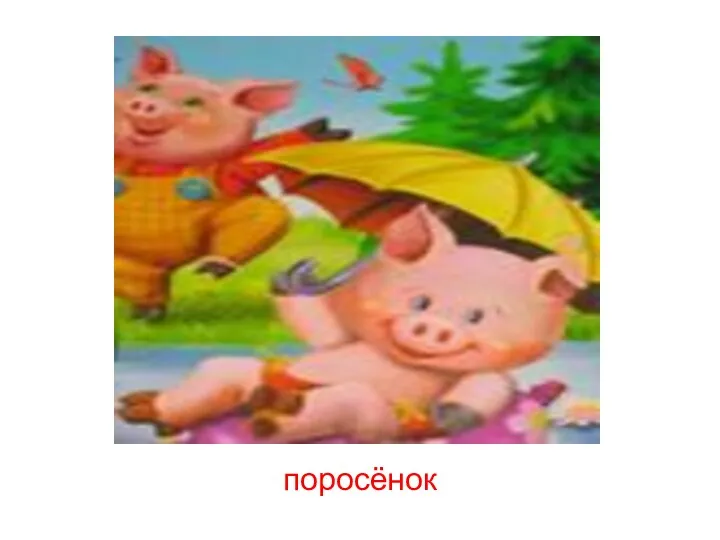 поросёнок