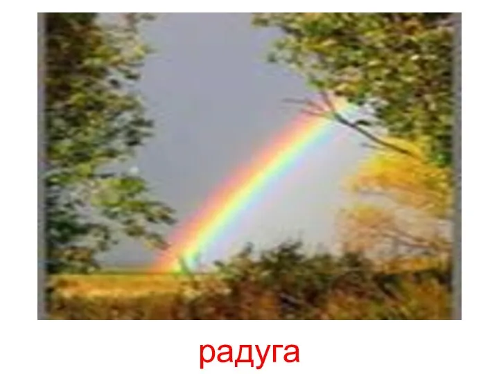 радуга