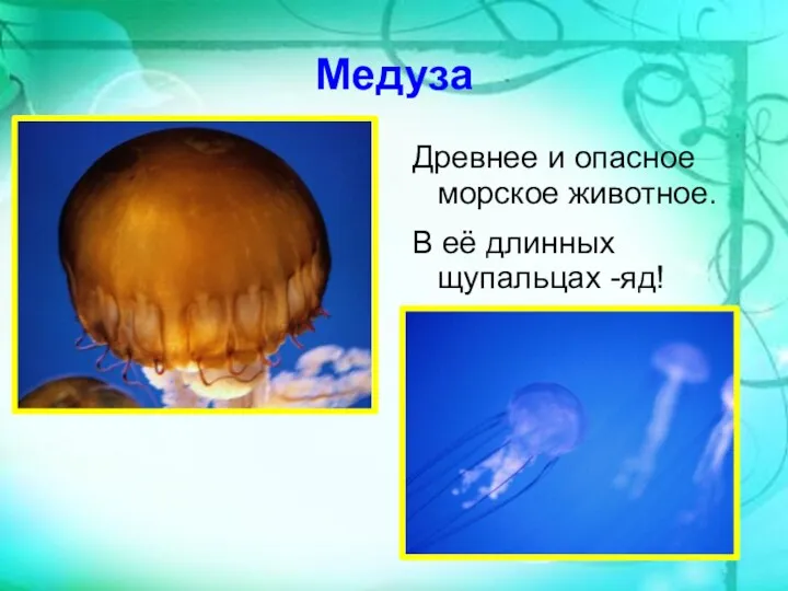 Медуза Древнее и опасное морское животное. В её длинных щупальцах -яд!