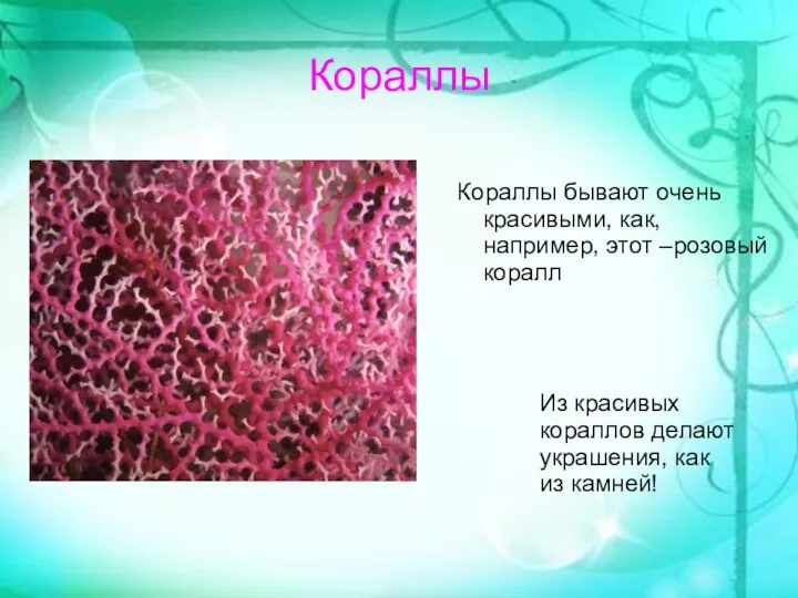 Кораллы Кораллы бывают очень красивыми, как, например, этот –розовый коралл