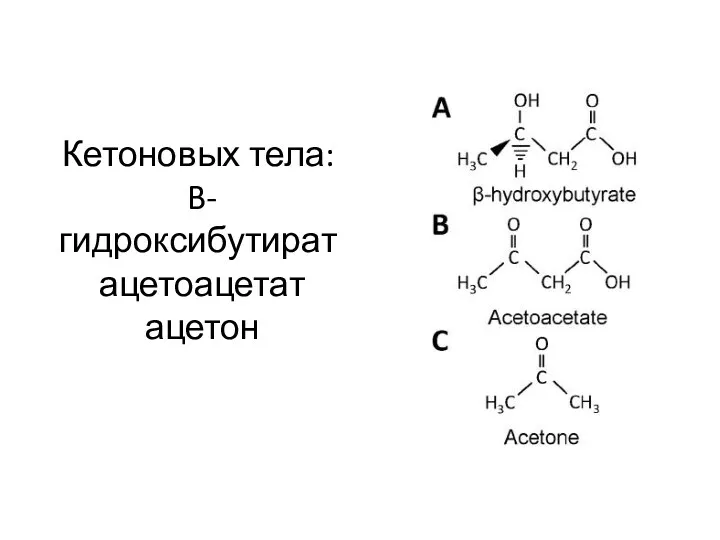 Кетоновых тела: B-гидроксибутират ацетоацетат ацетон