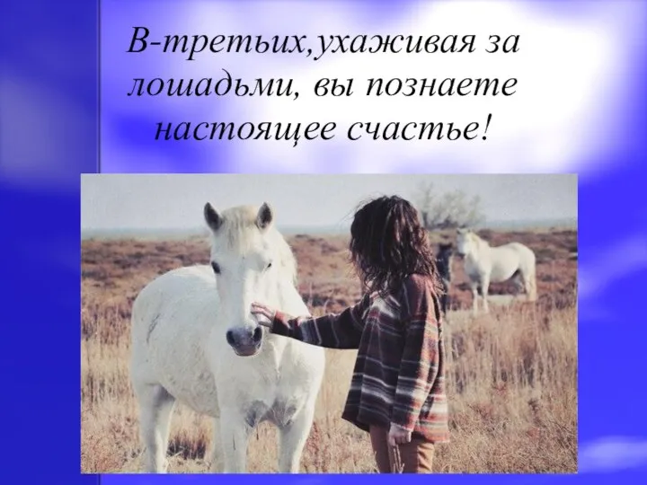 В-третьих,ухаживая за лошадьми, вы познаете настоящее счастье!