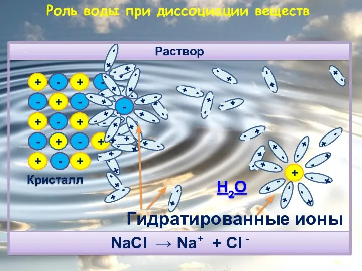 + + - - + + - - Раствор Кристалл