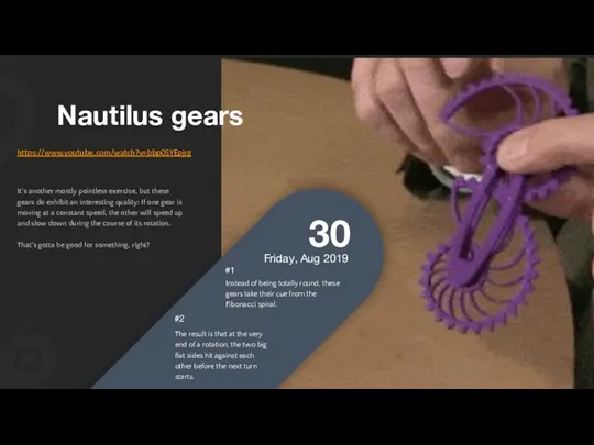 Nautilus gears It's another mostly pointless exercise, but these gears do exhibit an