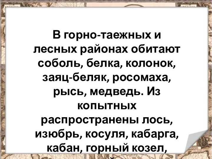 В горно-таежных и лесных районах обитают соболь, белка, колонок, заяц-беляк,