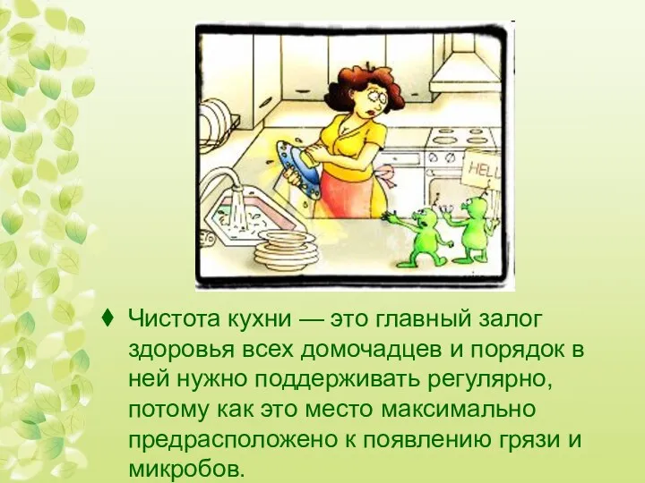 Чистота кухни — это главный залог здоровья всех домочадцев и