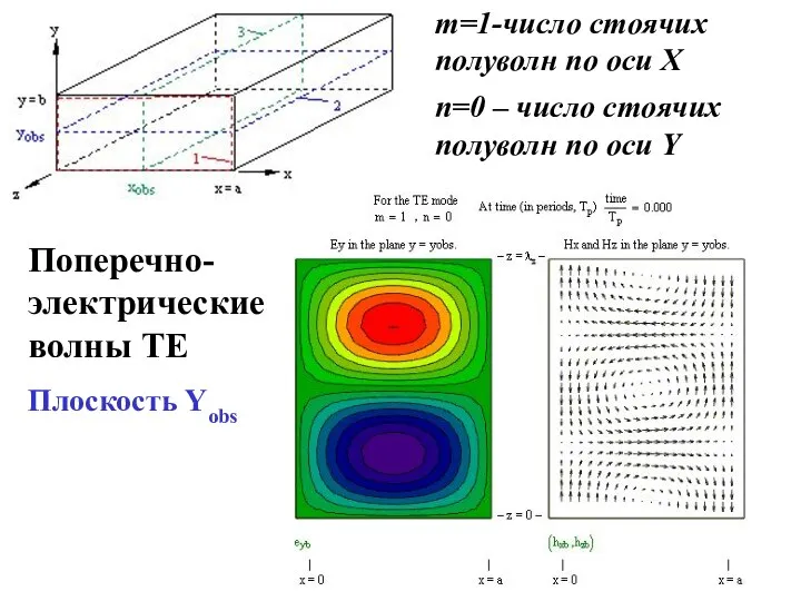 Поперечно-электрические волны ТЕ Плоскость Yobs m=1-число стоячих полуволн по оси