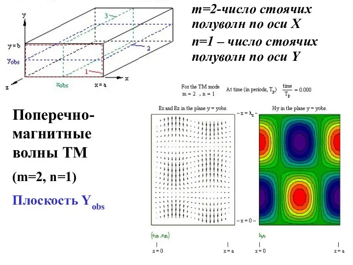 Поперечно-магнитные волны ТМ (m=2, n=1) Плоскость Yobs m=2-число стоячих полуволн