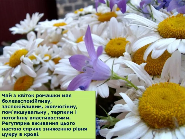 Чай з квіток ромашки має болезаспокійливу, заспокійливим, жовчогінну, пом'якшувальну ,