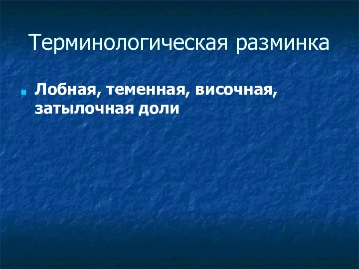 Терминологическая разминка Лобная, теменная, височная, затылочная доли